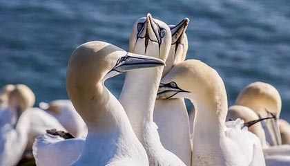 开云官网-绝地求生 选手训练强度持续加大，绝地求生训练手雷在哪里