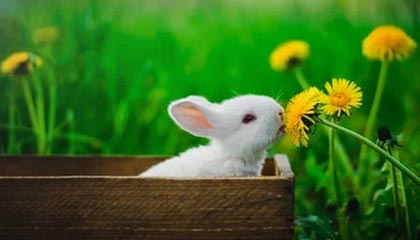 开云官网-绝地求生 选手训练强度持续加大，绝地求生训练手雷在哪里